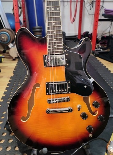 Semi acoustic guitar subzero - semi, +