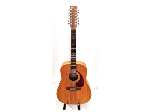 Norman b20 string semi - b20, 12-string