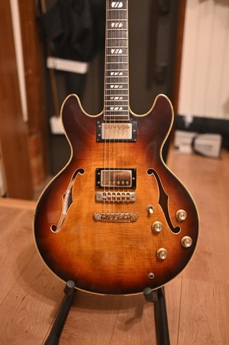 Greco 800 semi acoustic - greco, sv-800