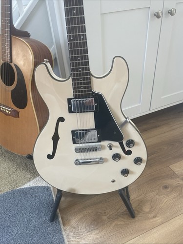 Aria pro semi - pro, acoustic