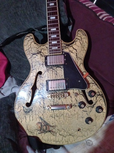 Aria pro semi acoustic - aria, semi-acoustic