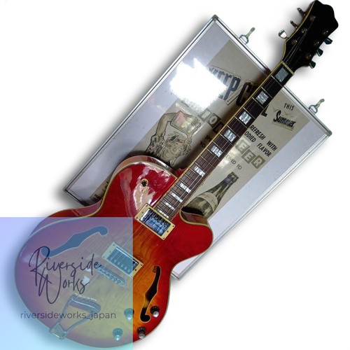 Semi acoustic guitar - semi-acoustic,