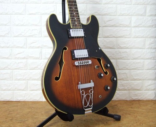 Aria pro w gig bag - ii,
