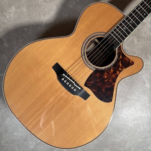 Takamine dmp50s 2026 solid - takamine,