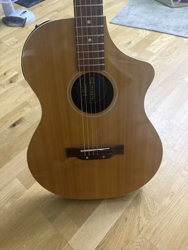 Line variax acoustic 300 - acoustic,