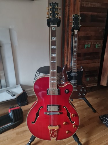 Antoria ultra rare rockstar - antoria,
