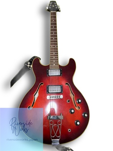 Aria pro semi acoustic - aria,