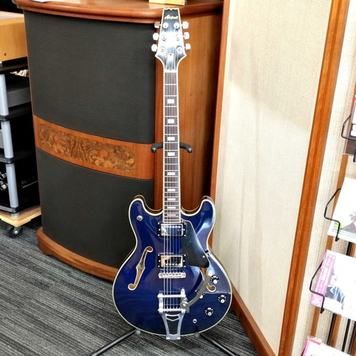 Aria pro t blue - ii,